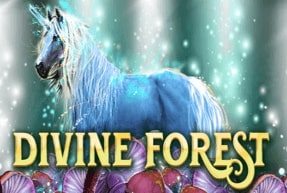 Divine Forest