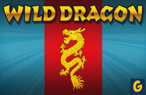Wild Dragon
