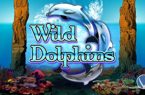 Wild Dolphins