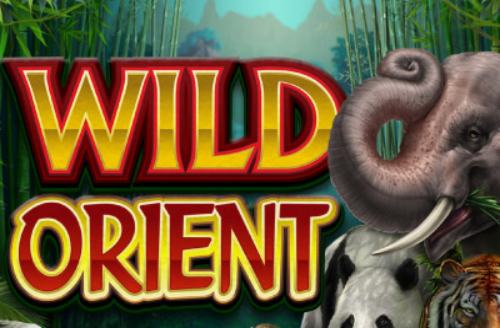 Wild Orient